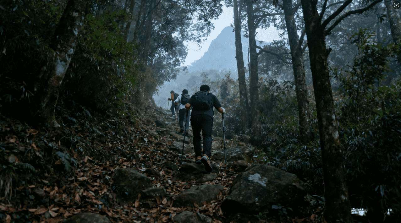 全面解析飞机加速器服务代码：详细功能介绍与实用操作指南